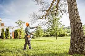 Lincoln, CA Tree Care Company